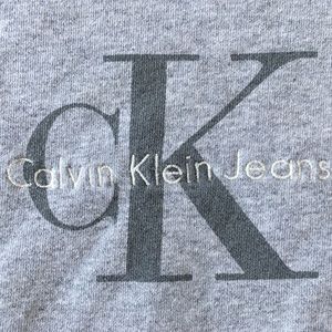 Calvin Klein Grey Hoodless